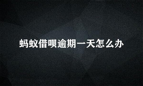 蚂蚁借呗逾期一天怎么办