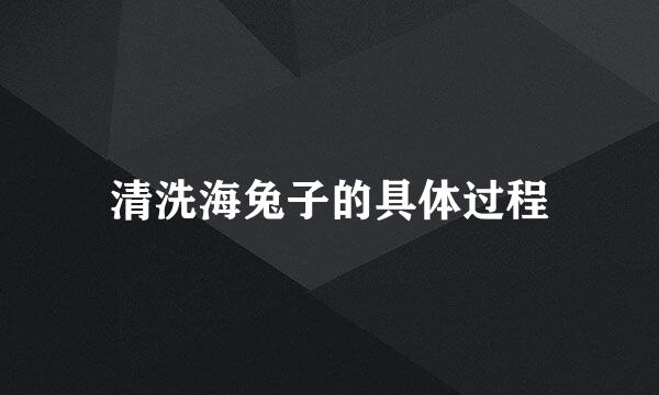 清洗海兔子的具体过程
