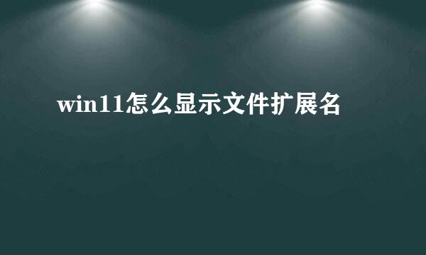 win11怎么显示文件扩展名