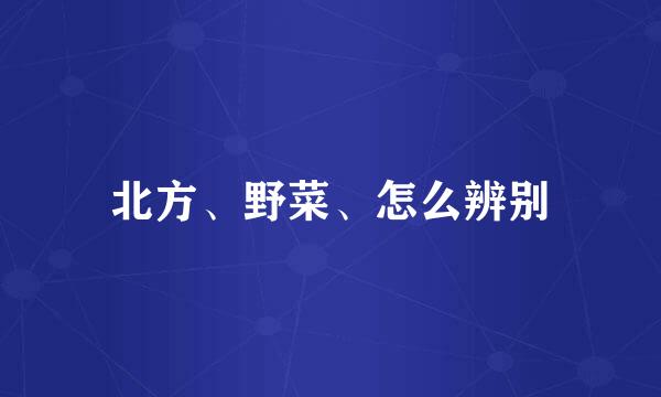 北方、野菜、怎么辨别