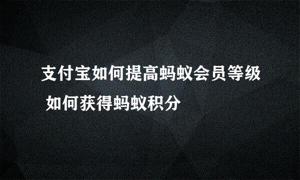 支付宝如何提高蚂蚁会员等级 如何获得蚂蚁积分