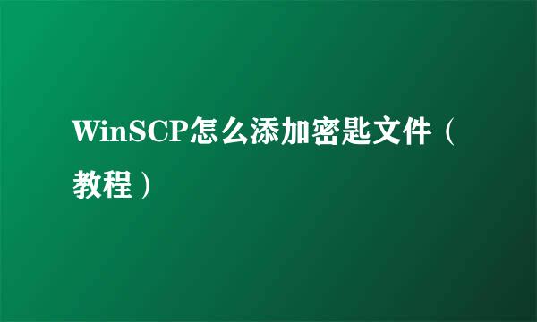 WinSCP怎么添加密匙文件（教程）