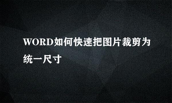 WORD如何快速把图片裁剪为统一尺寸