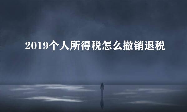 2019个人所得税怎么撤销退税