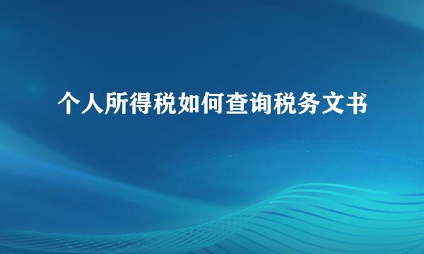 个人所得税如何查询税务文书