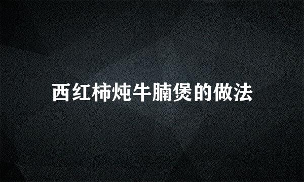 西红柿炖牛腩煲的做法
