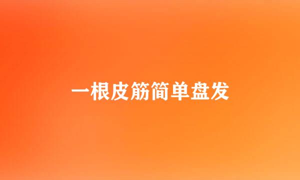 一根皮筋简单盘发