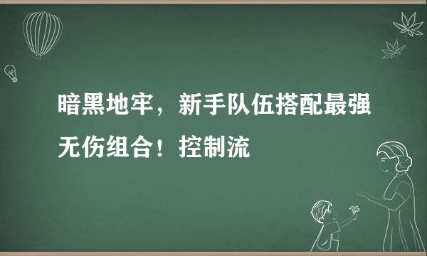 暗黑地牢，新手队伍搭配最强无伤组合！控制流