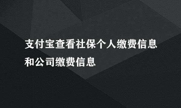 支付宝查看社保个人缴费信息和公司缴费信息