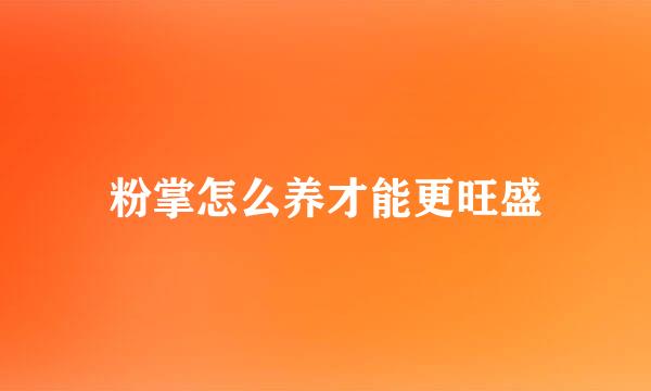 粉掌怎么养才能更旺盛
