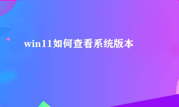 win11如何查看系统版本