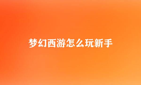 梦幻西游怎么玩新手