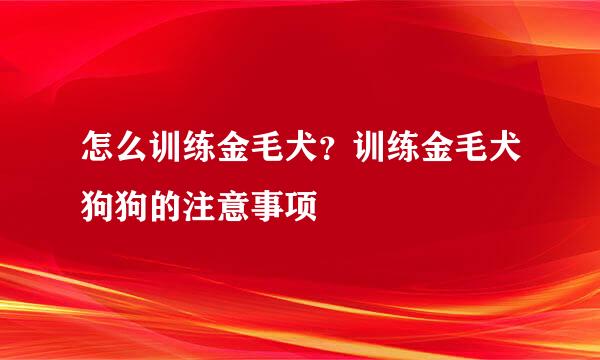 怎么训练金毛犬？训练金毛犬狗狗的注意事项