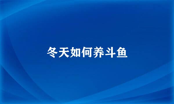 冬天如何养斗鱼