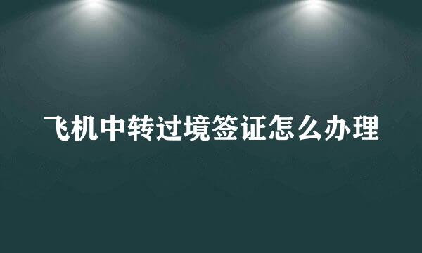 飞机中转过境签证怎么办理
