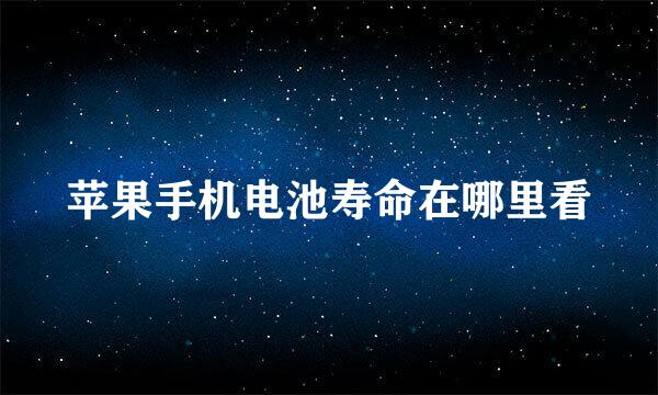 苹果手机电池寿命在哪里看