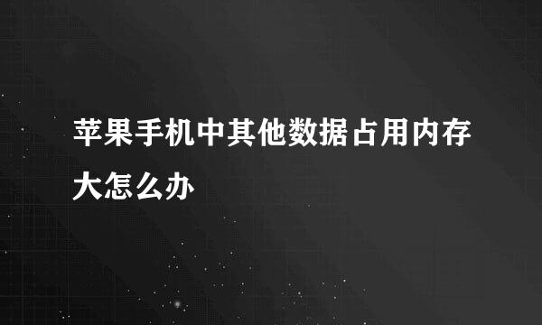苹果手机中其他数据占用内存大怎么办