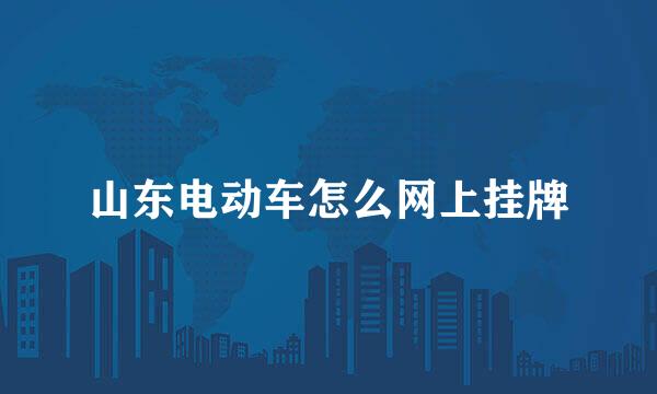 山东电动车怎么网上挂牌