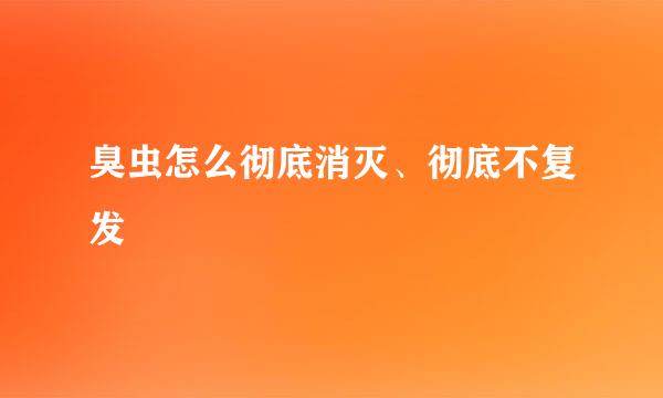 臭虫怎么彻底消灭、彻底不复发