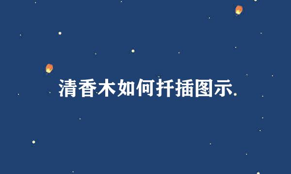 清香木如何扦插图示