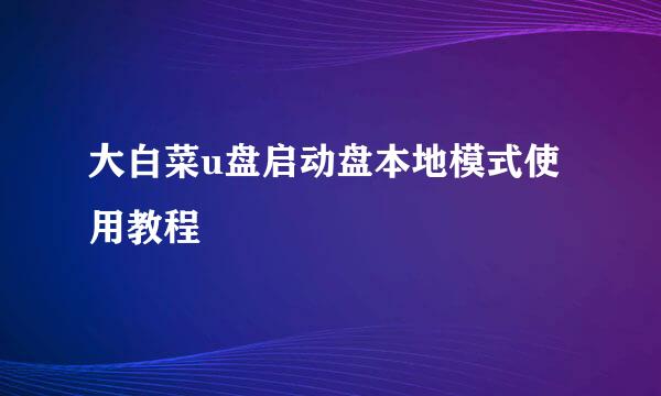 大白菜u盘启动盘本地模式使用教程