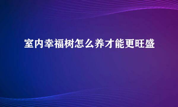 室内幸福树怎么养才能更旺盛