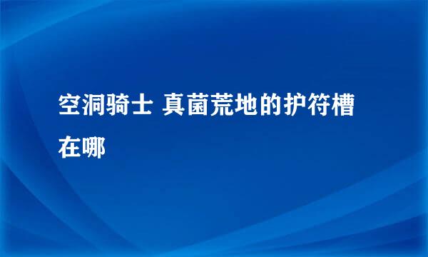 空洞骑士 真菌荒地的护符槽在哪