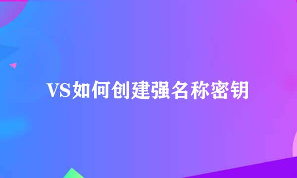 VS如何创建强名称密钥