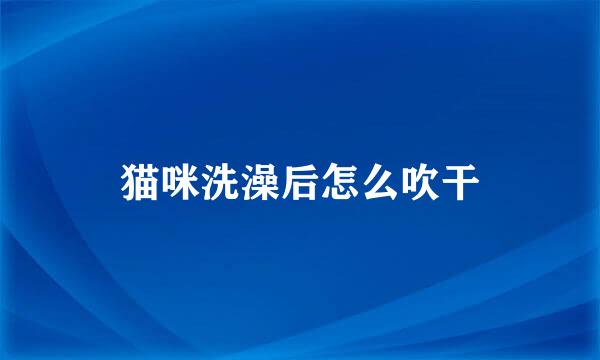 猫咪洗澡后怎么吹干
