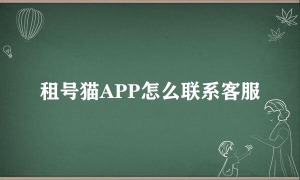 租号猫APP怎么联系客服