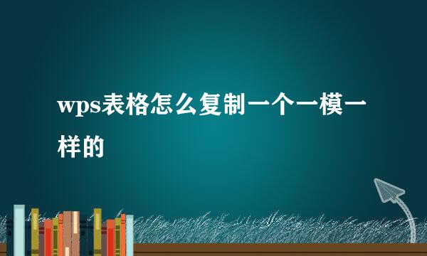 wps表格怎么复制一个一模一样的