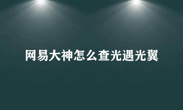 网易大神怎么查光遇光翼