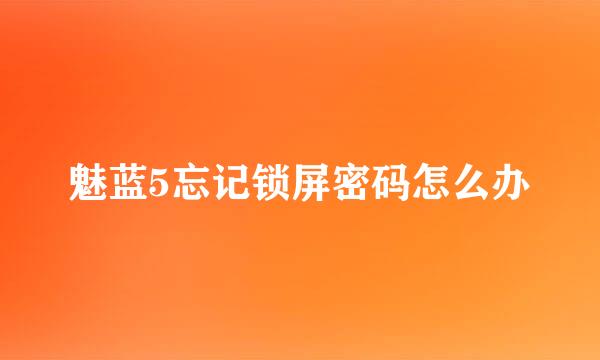 魅蓝5忘记锁屏密码怎么办