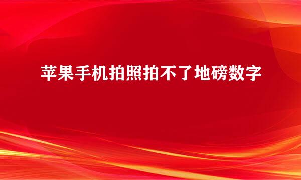 苹果手机拍照拍不了地磅数字