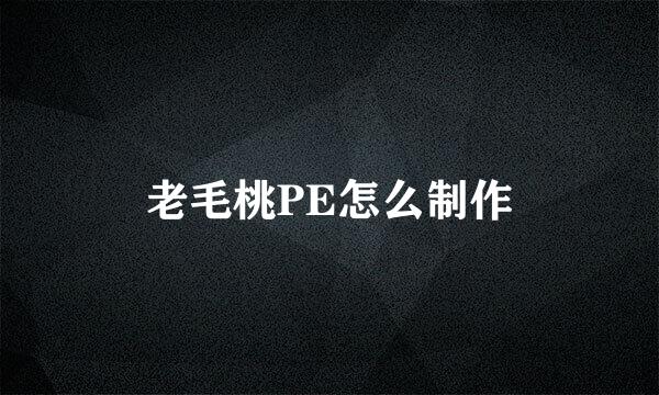 老毛桃PE怎么制作