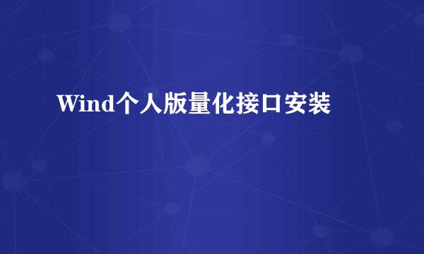 Wind个人版量化接口安装