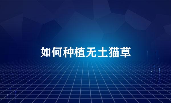 如何种植无土猫草