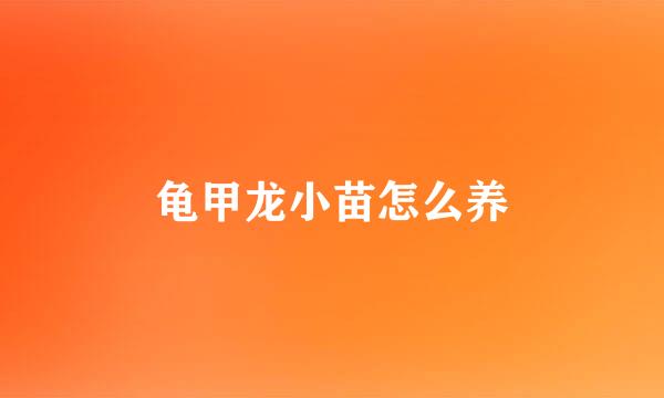 龟甲龙小苗怎么养