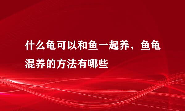 什么龟可以和鱼一起养，鱼龟混养的方法有哪些