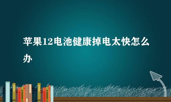 苹果12电池健康掉电太快怎么办