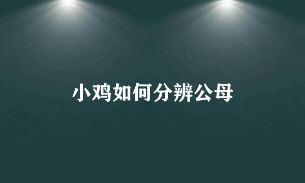 小鸡如何分辨公母