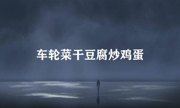 车轮菜干豆腐炒鸡蛋