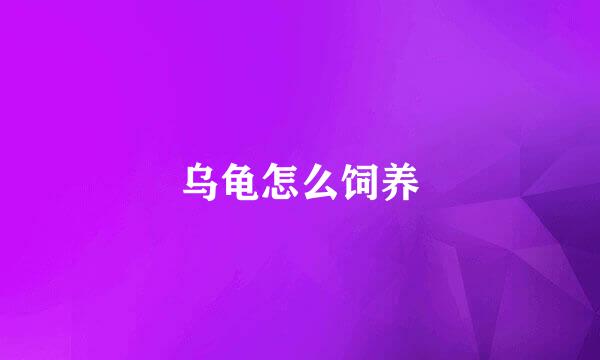 乌龟怎么饲养