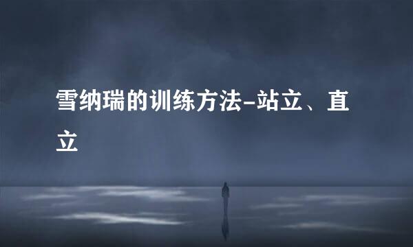 雪纳瑞的训练方法-站立、直立
