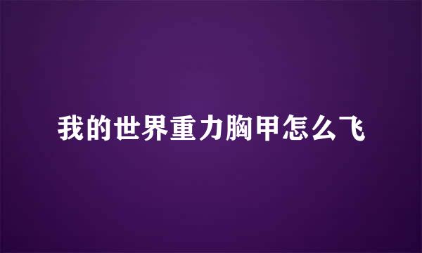 我的世界重力胸甲怎么飞
