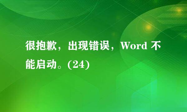 很抱歉，出现错误，Word 不能启动。(24)