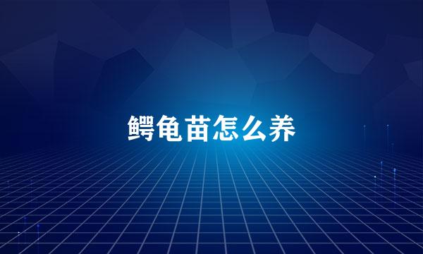 鳄龟苗怎么养