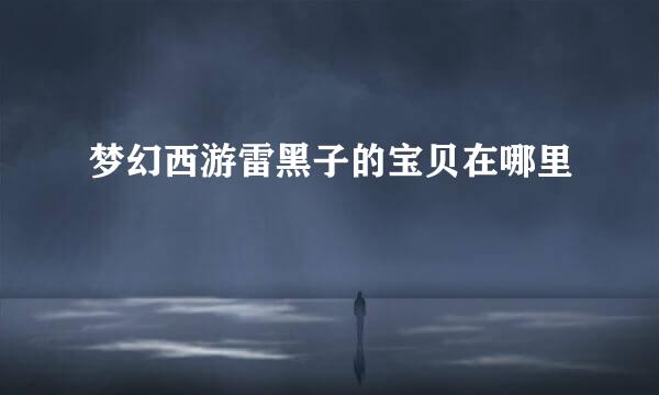 梦幻西游雷黑子的宝贝在哪里