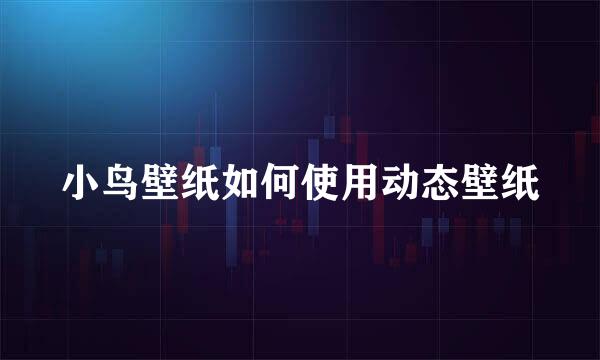 小鸟壁纸如何使用动态壁纸
