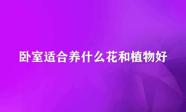 卧室适合养什么花和植物好